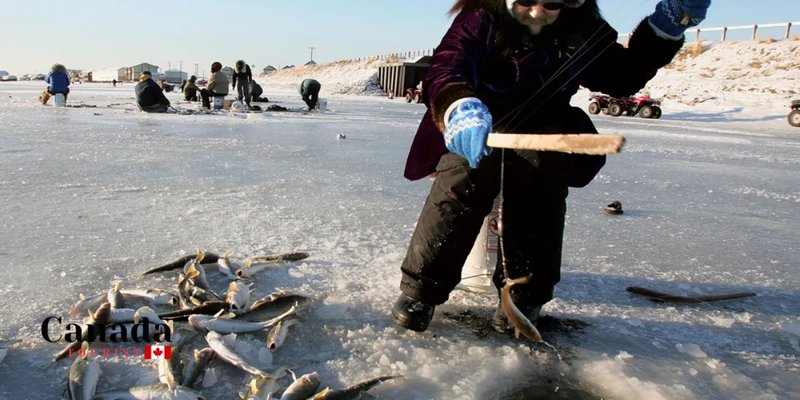 Best ice fishing live in United Kigdom