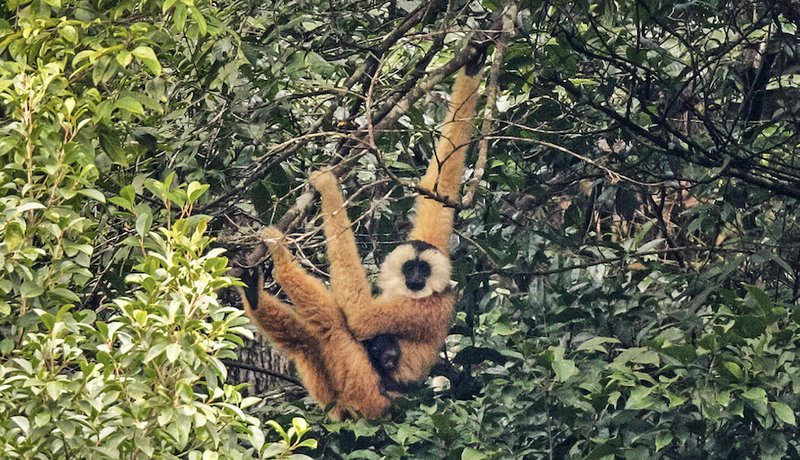 Image: Unlock Exclusive Bonuses and Games at Wildrobin Casino Globally